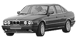 BMW E34 P194A Fault Code
